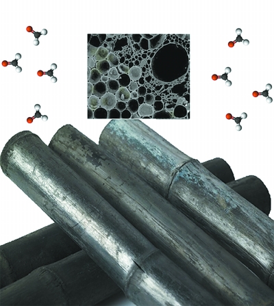 ��̿����ȩ���o�� ���ҽ��h����ȩ���푪ԓ�෽������