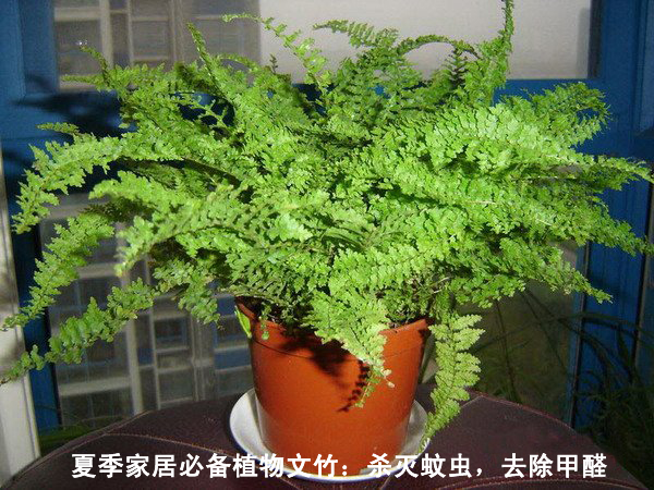 ��������˹̹���h���о����ģ��gӭ��ҵĞg�[����վ�����P���ϲ��z�y���ϲ�����ȩ��һ���T���Wվ��